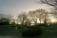 鳥屋野公園の夕暮れ１