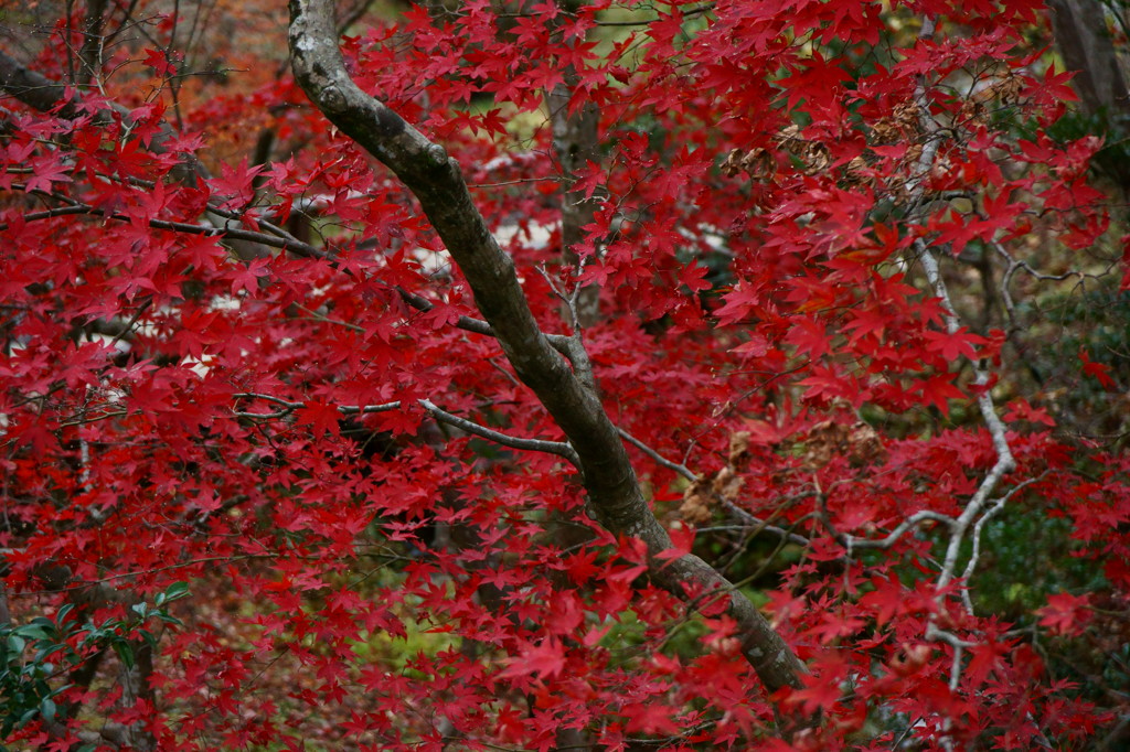 DSC05045
