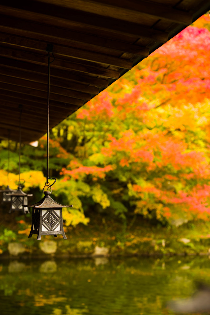 秋の三景園