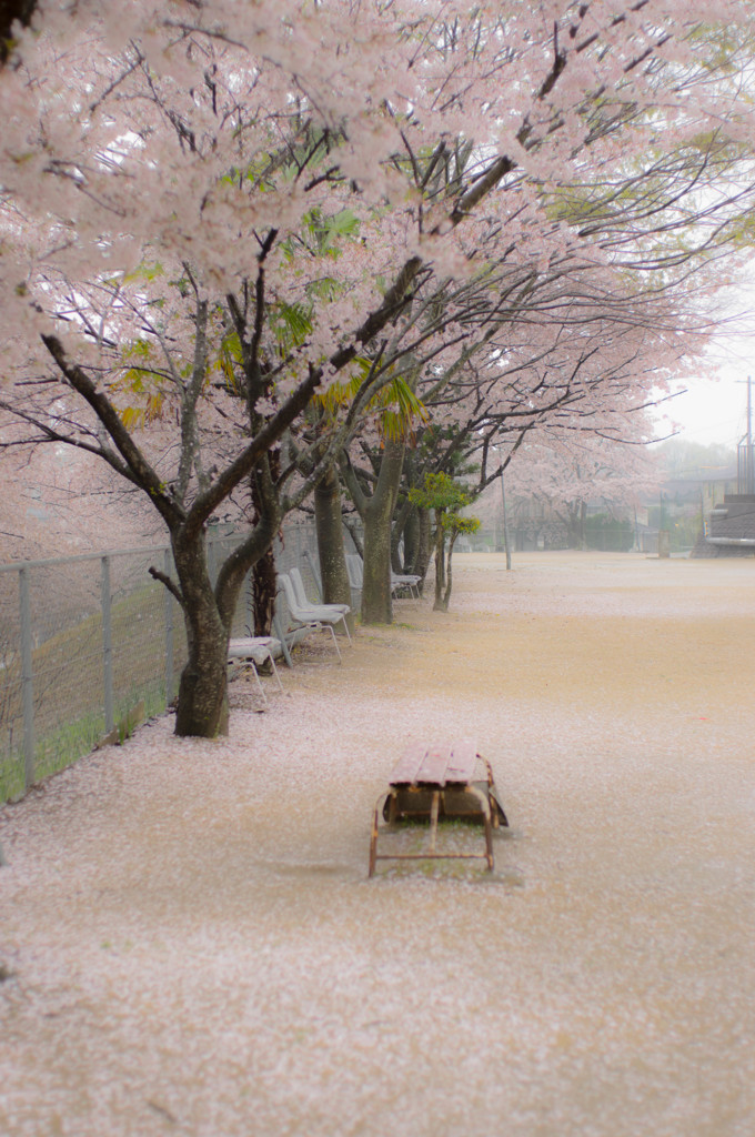 朝の公園