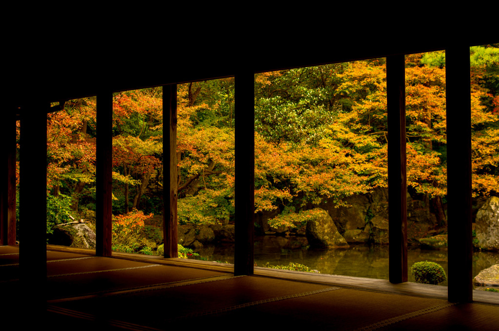 蓮華寺