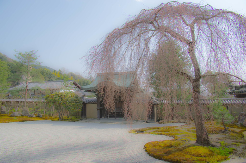 高台寺の庭