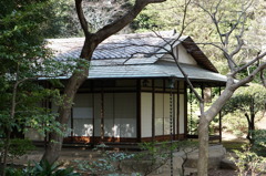 DSC02119