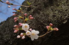 DSC02912