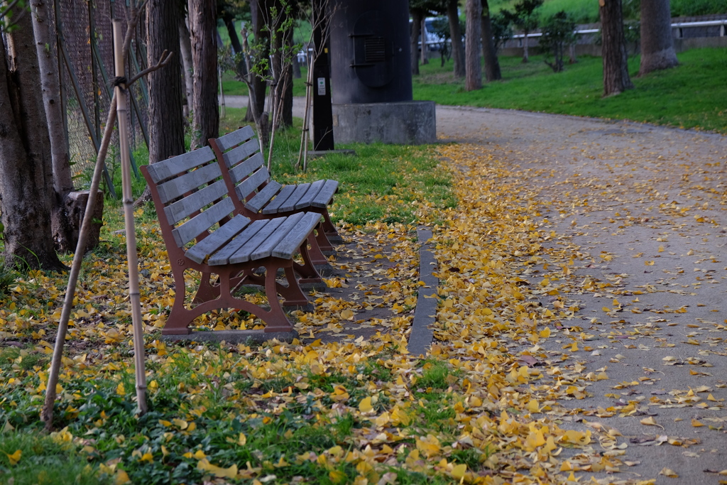 公園のベンチで