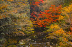SDIM1743dp3
