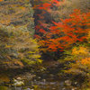 SDIM1743dp3