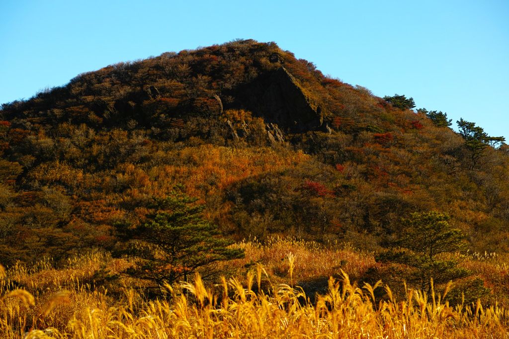 紅葉に染まる