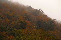 SDIM1780