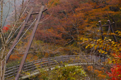SDIM1737