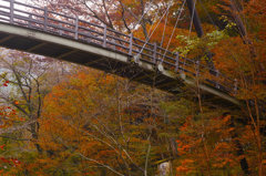 SDIM1730dp3
