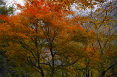 SDIM1652dp2