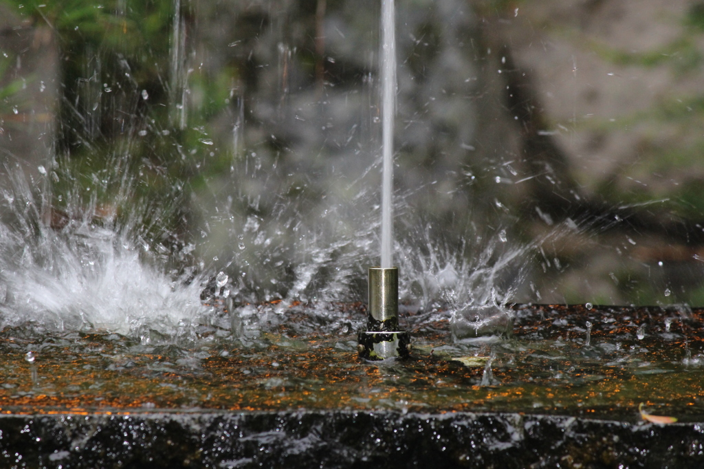 SPLASH！