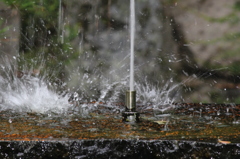 SPLASH！
