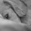 good night 