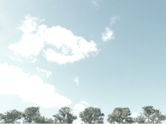 ソラ
