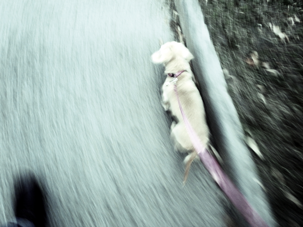 run