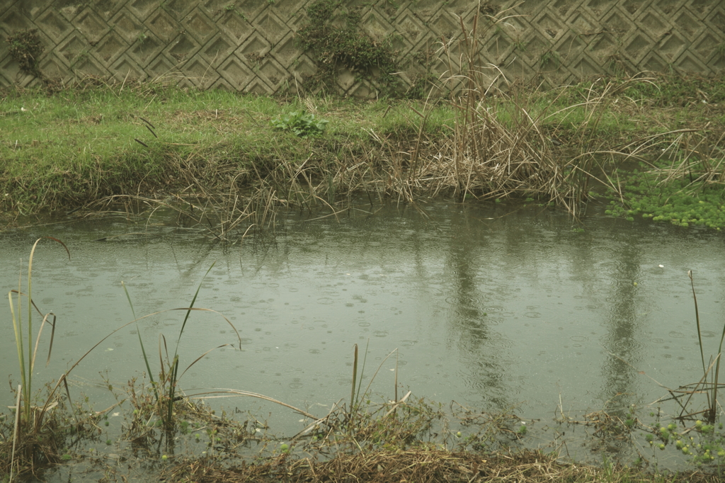 raining・・