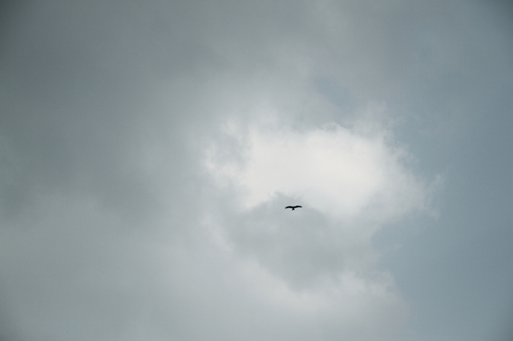 in the sky