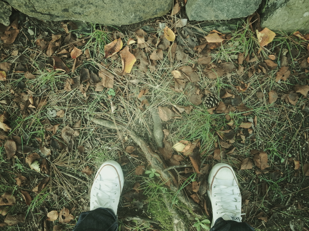 stay