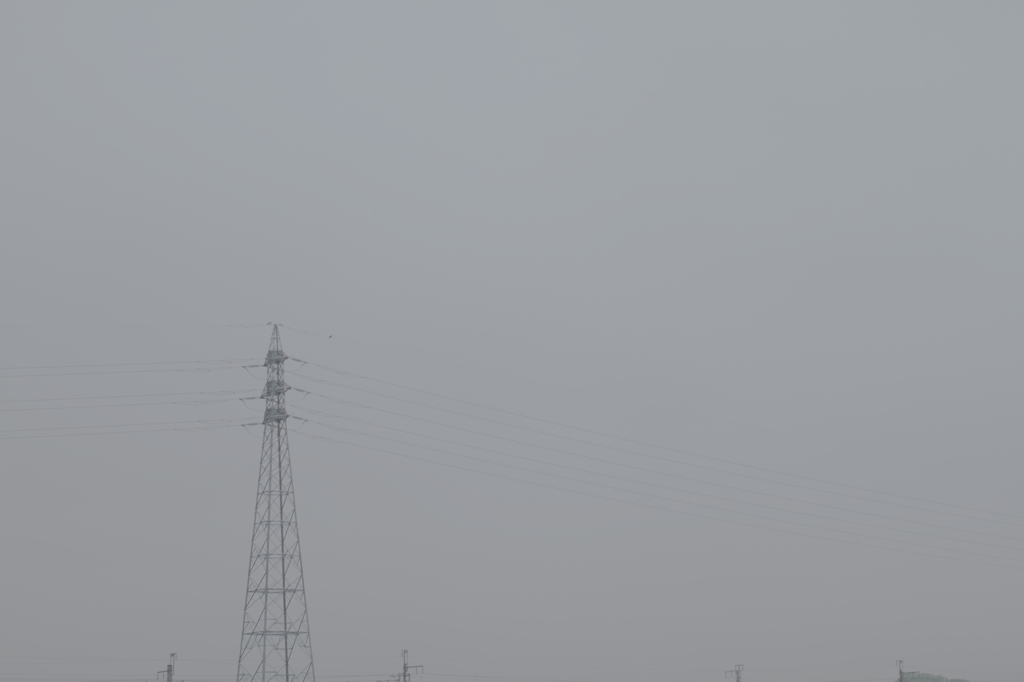 tower