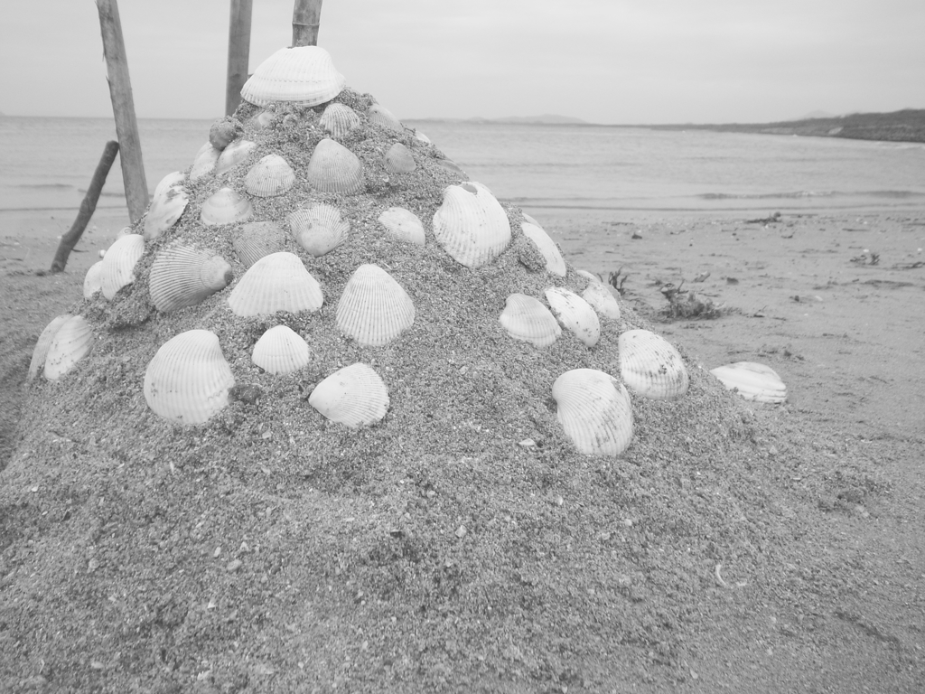 Mt. shell