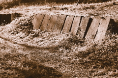 seiretsu