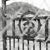 gate