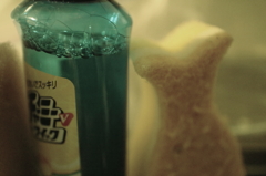 イソガシ１