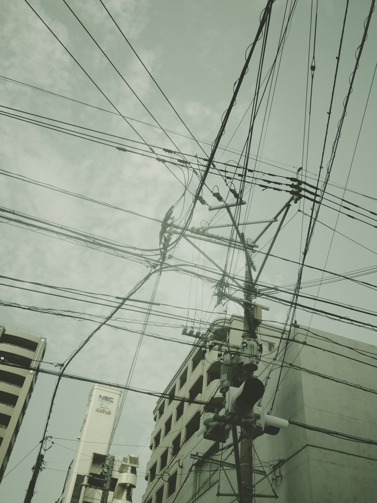 crossing