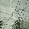 crossing