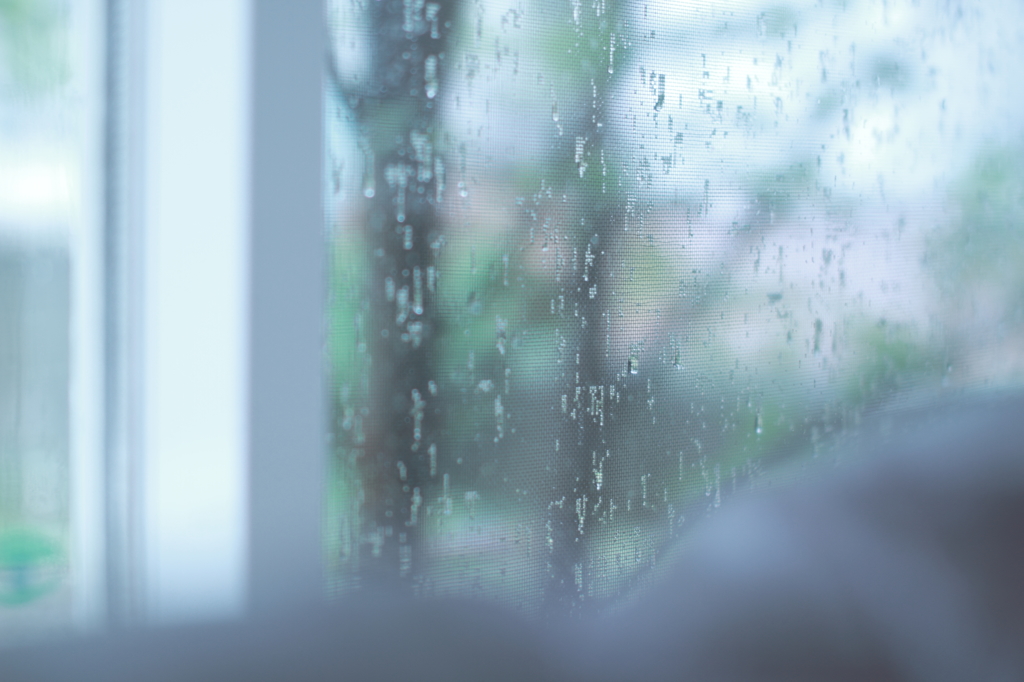 rainy