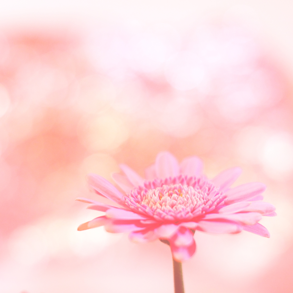 thank you・・