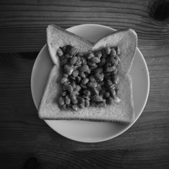 lunch
