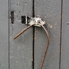 shut1