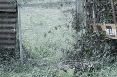 nowhere