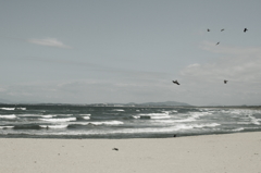 nosedive