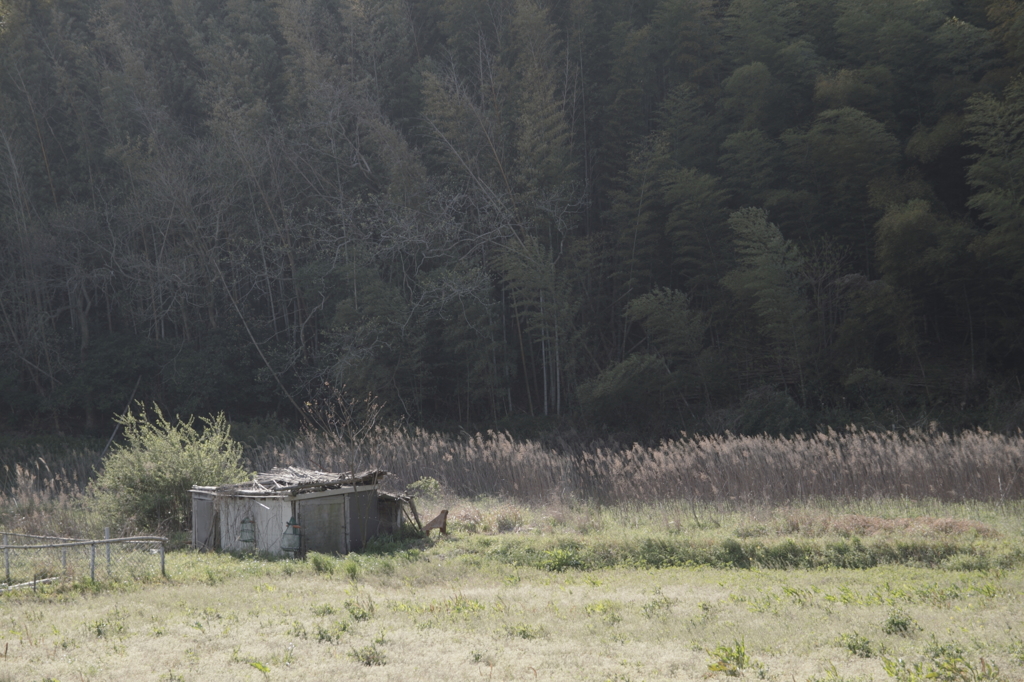 field