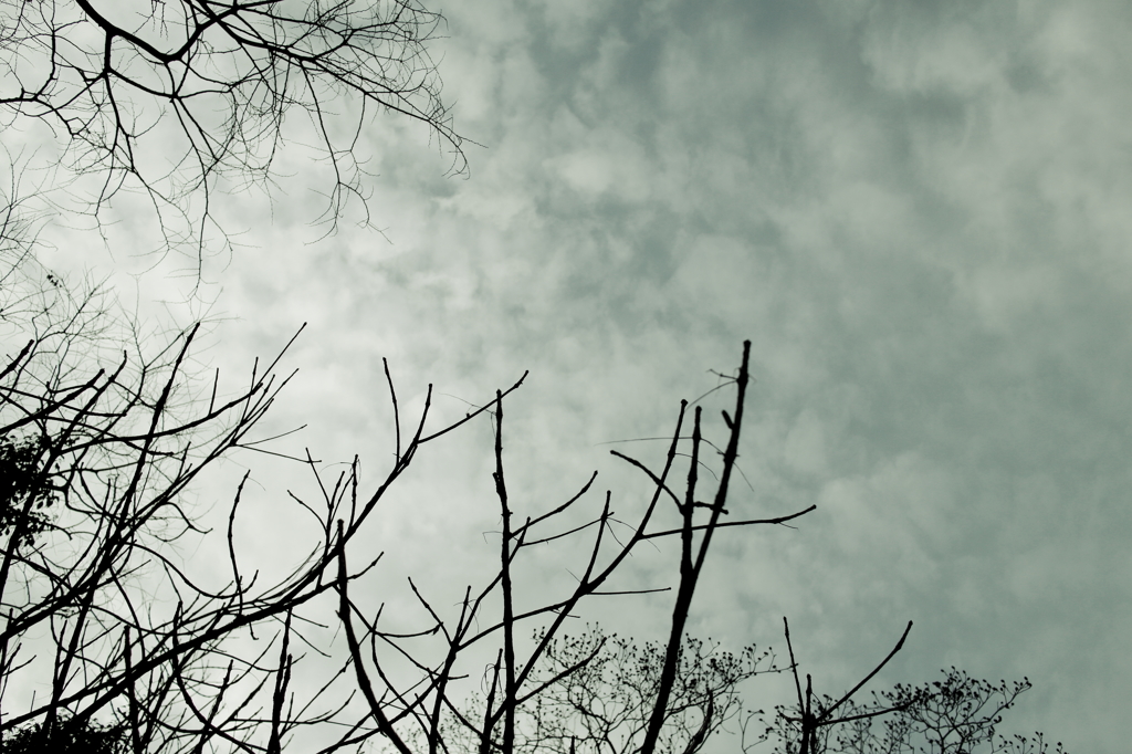 look up