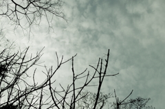 look up