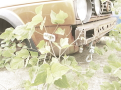 wreck