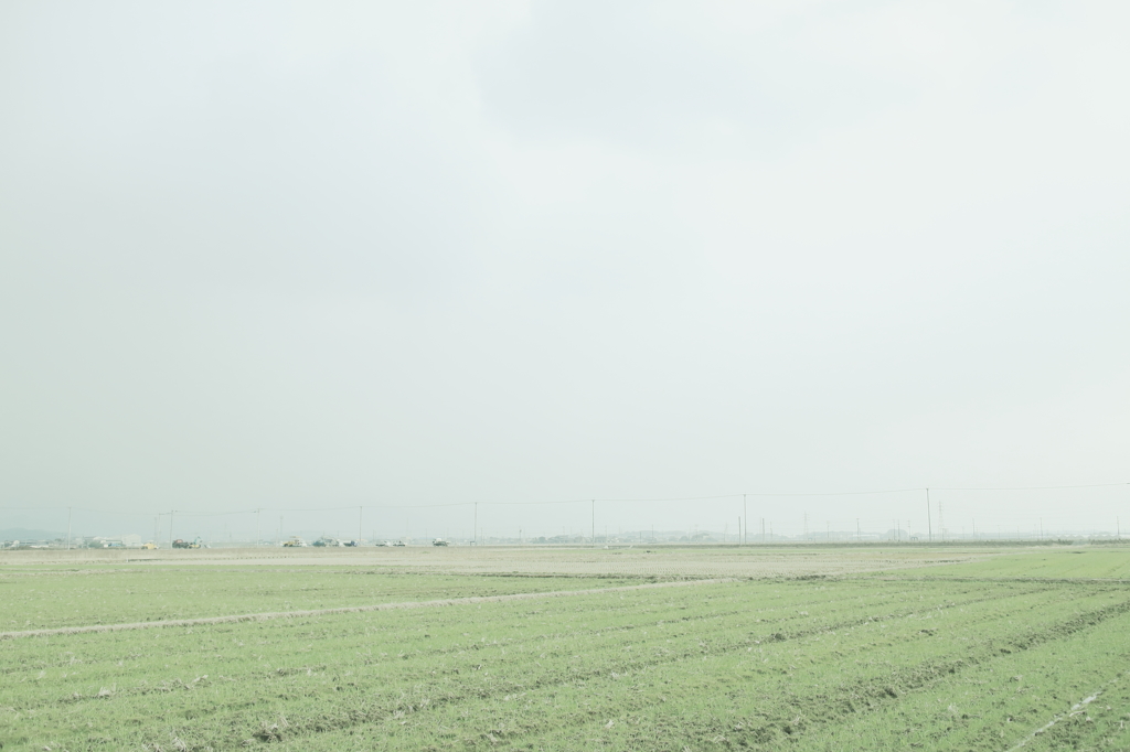 field