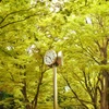 5時ちょいまえ