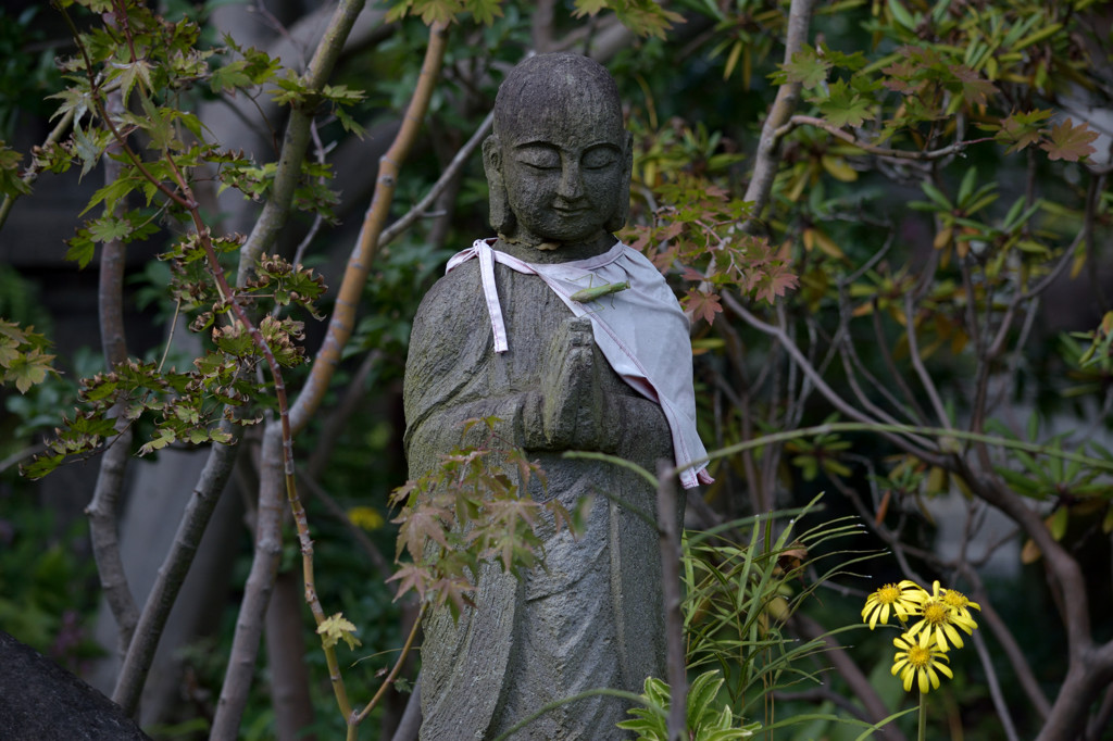 常泉寺の花－地蔵様－