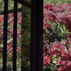 三渓園の紅葉－ガラスを超して－