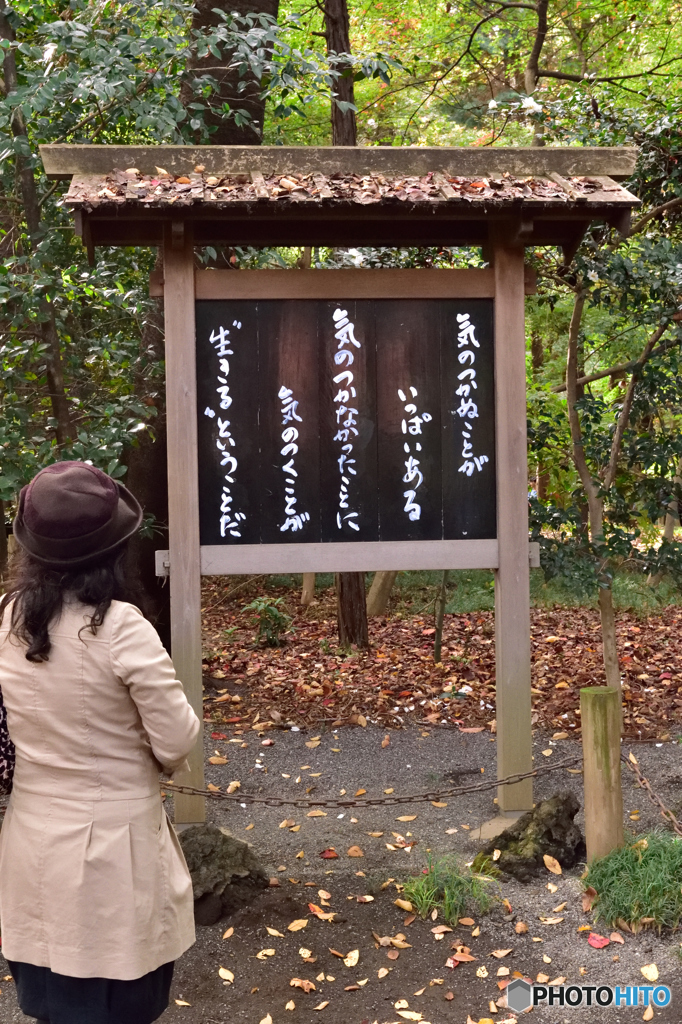 平林寺の教え