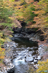 奥多摩の渓谷