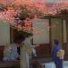三渓園の紅葉－お茶会－
