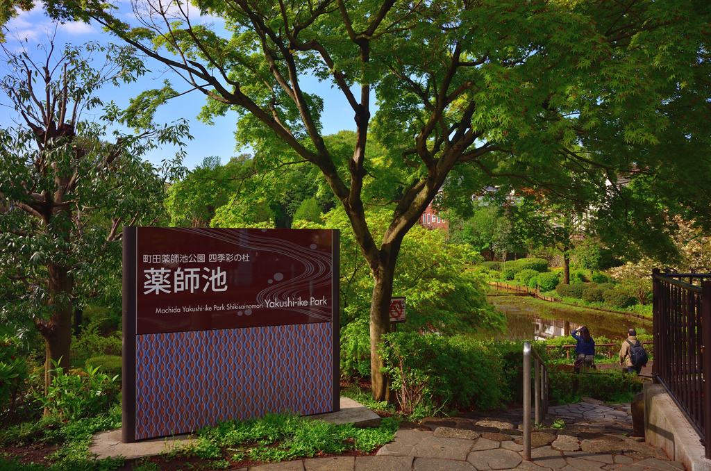 町田薬師池公園