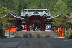 箱根神社の賑わい